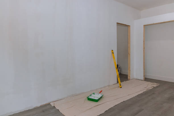 Best Mold Remediation for Healthcare Facilities  in Flandreau, SD