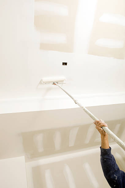 Best Commercial Mold Inspection  in Flandreau, SD