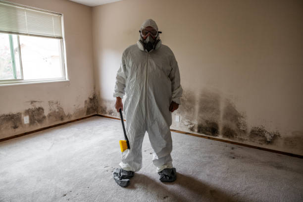 Best Attic Mold Removal  in Flandreau, SD